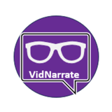 VidNarrate icon