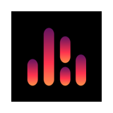 VoiceDub icon